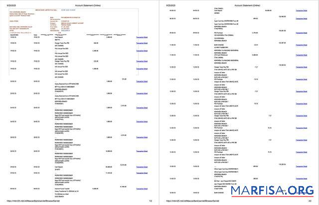 Printable Pakistan Meezan Bank Limited account statement word 2 pages download for verification